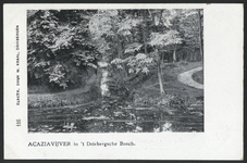17512 Gezicht op de Acaciavijver in het bos bij Driebergen.